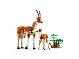 Wild Safari Animals