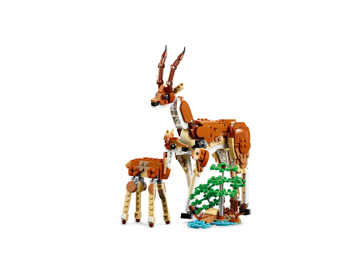 Wild Safari Animals