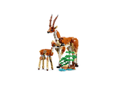 Wild Safari Animals