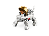 Space Astronaut