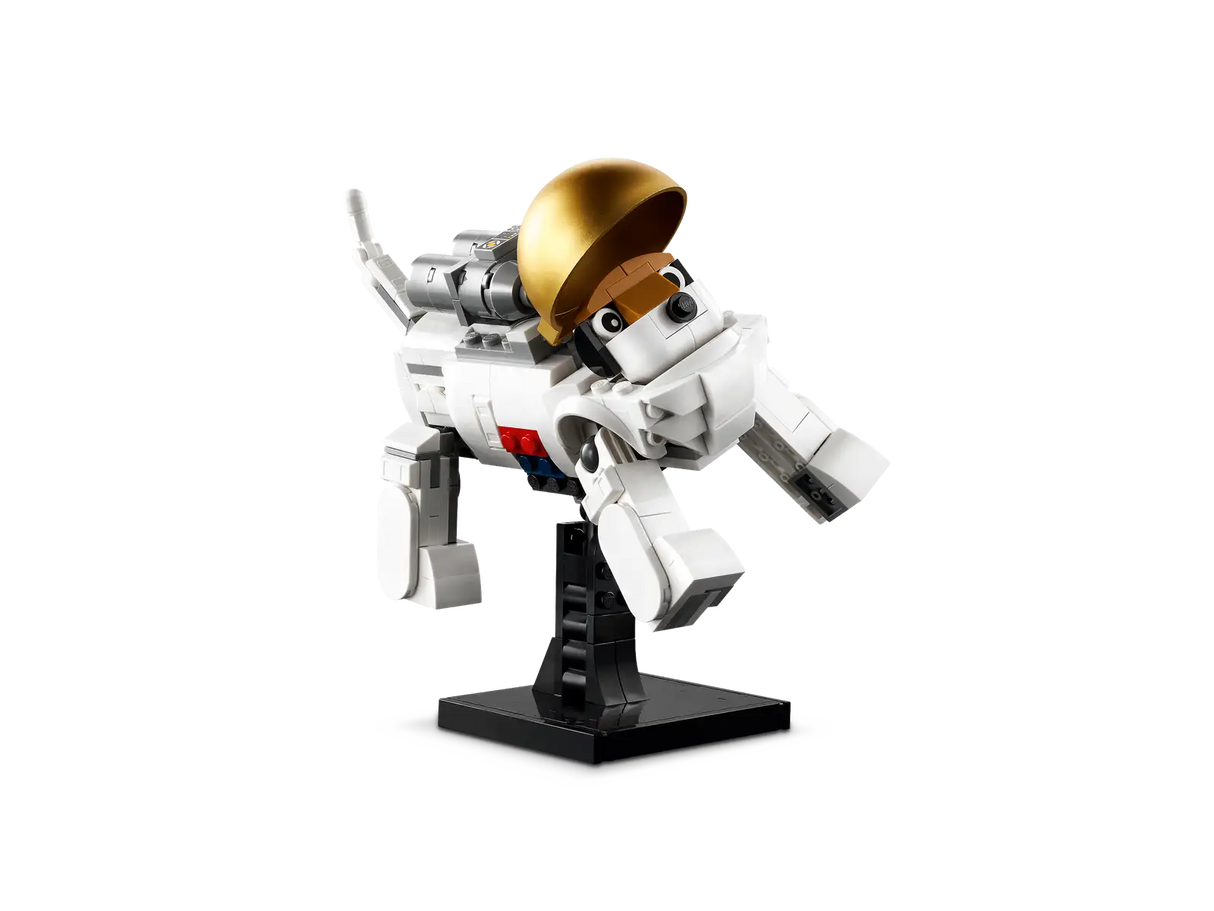 Space Astronaut
