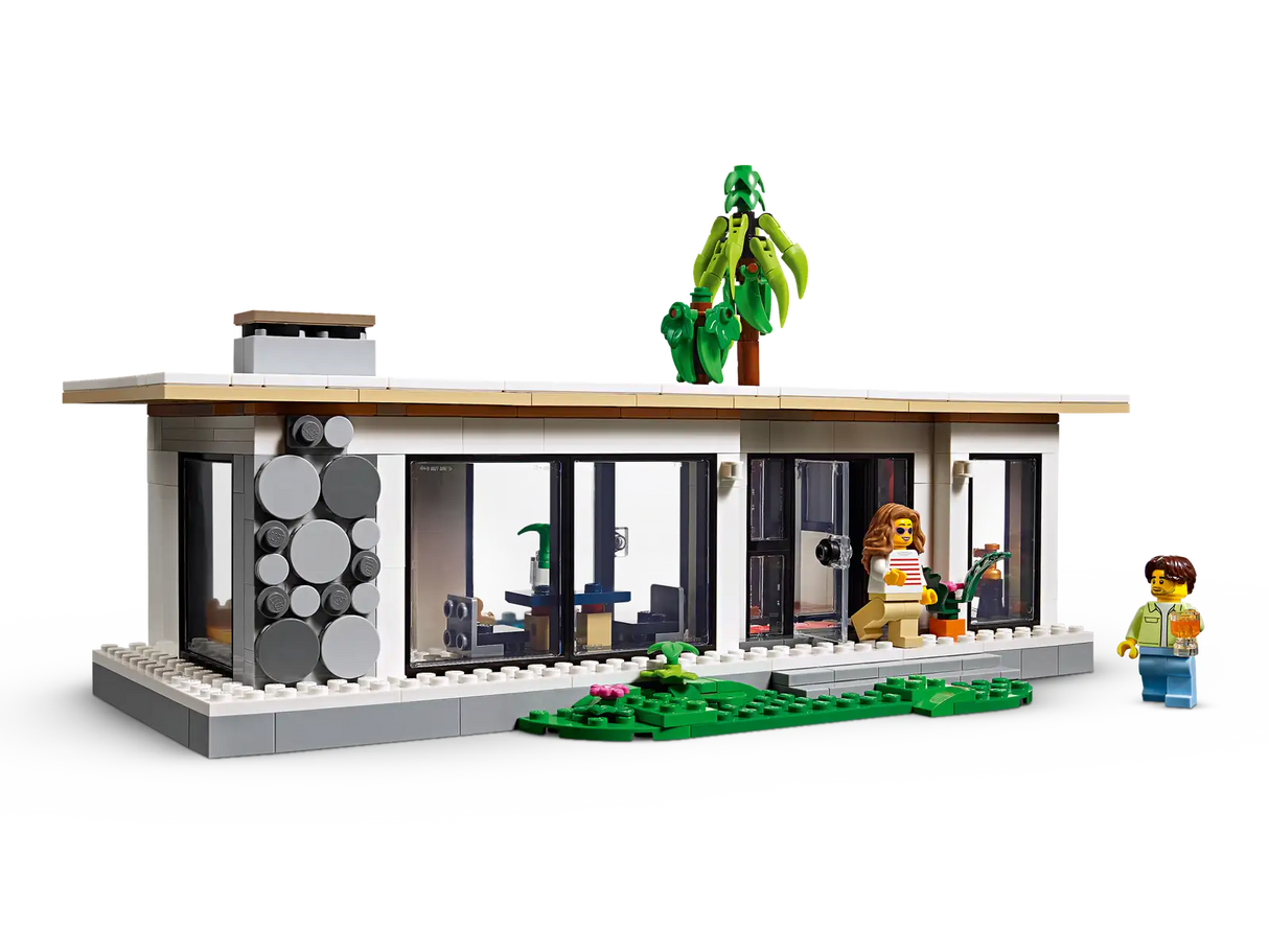 Modern House