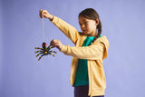 Wild Animals: Surprising Spider