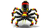 Wild Animals: Surprising Spider
