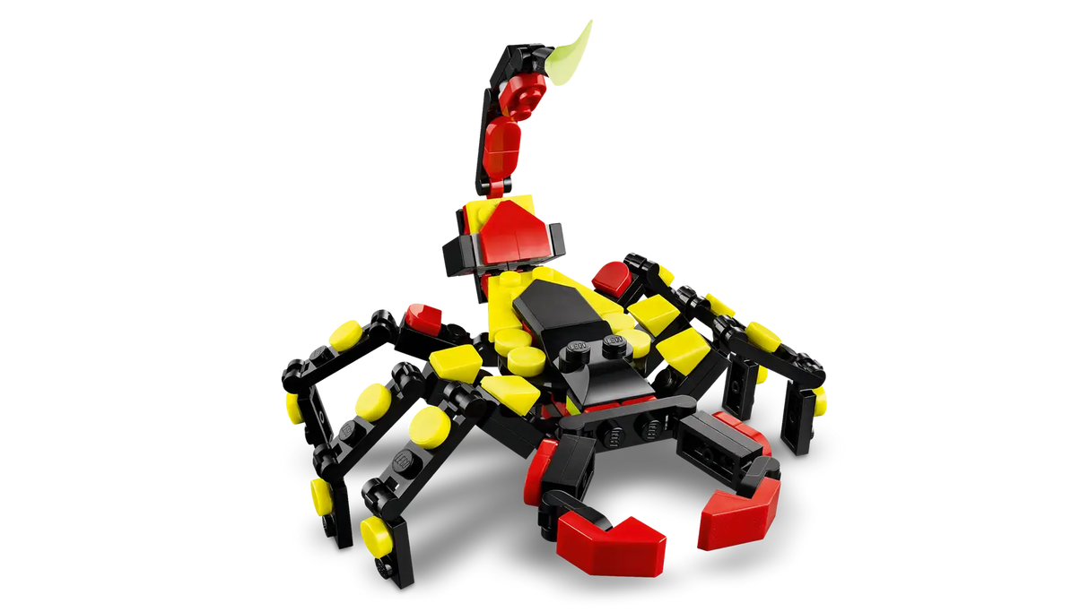 Wild Animals: Surprising Spider