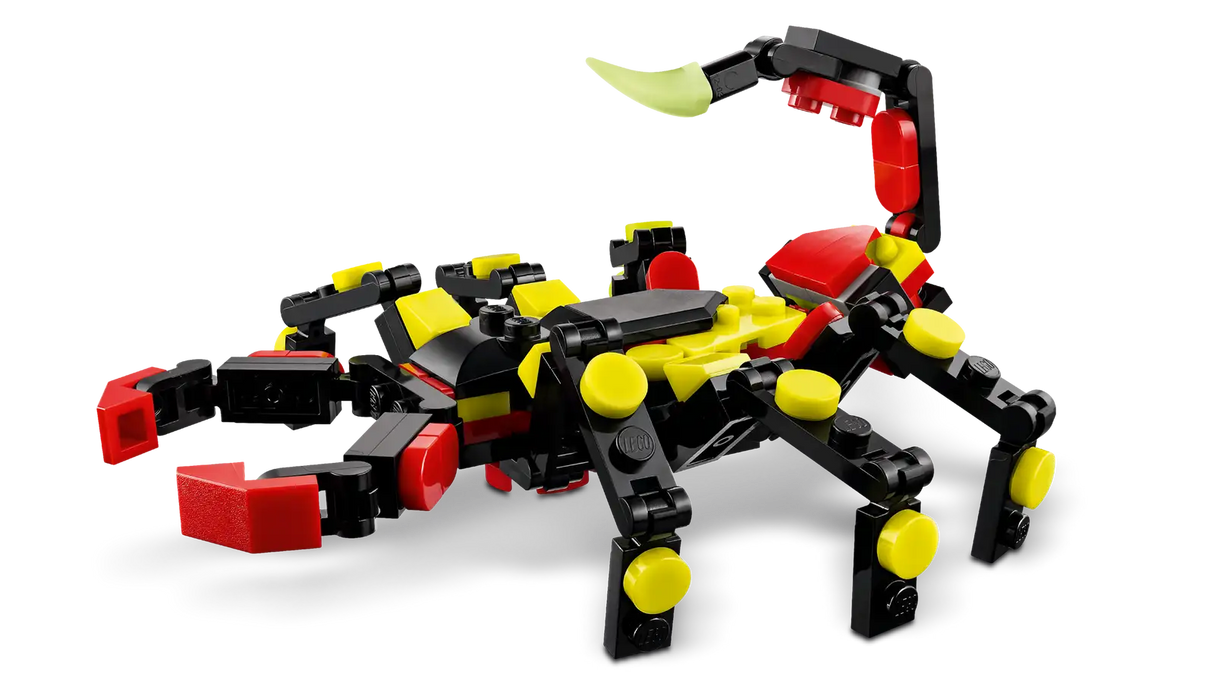 Wild Animals: Surprising Spider