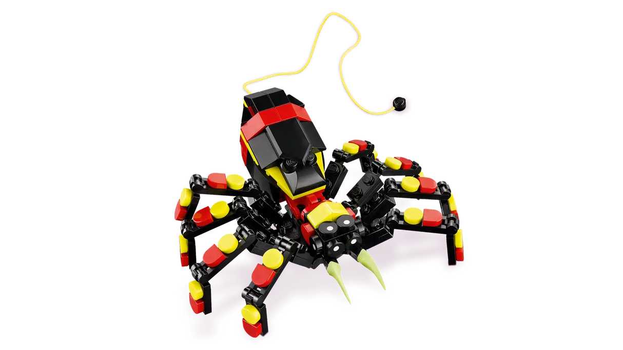 Wild Animals: Surprising Spider