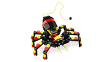 Wild Animals: Surprising Spider