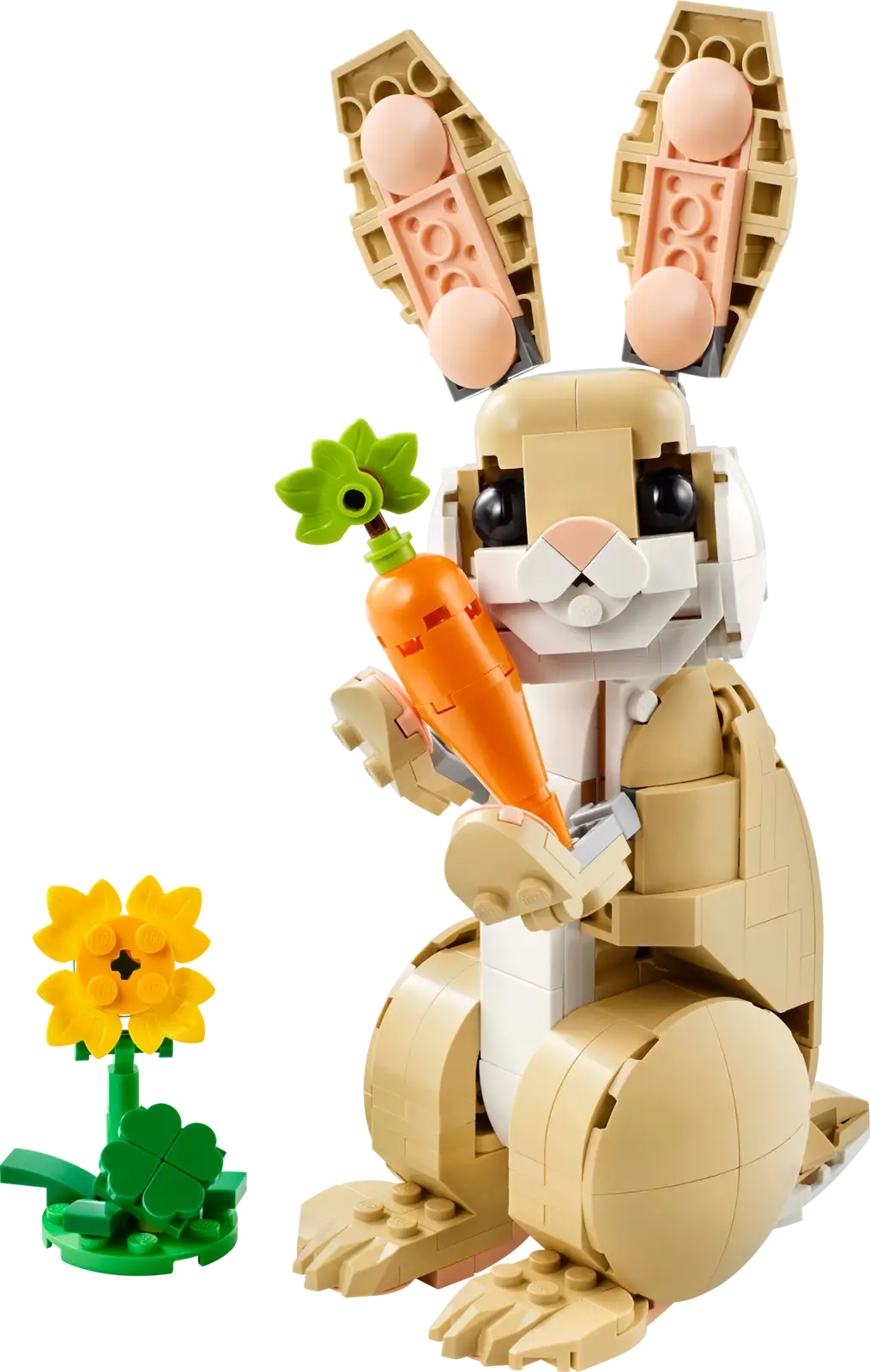 Cute Bunny