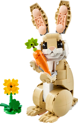 Cute Bunny