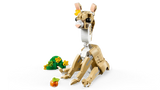 Cute Bunny