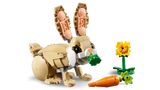 Cute Bunny
