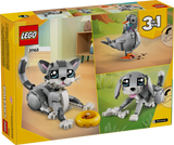 Playful Cat