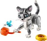 Playful Cat