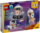 Space Robot