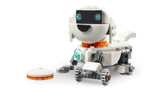 Space Robot