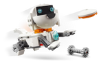 Space Robot