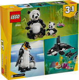 Wild Animals: Panda Family