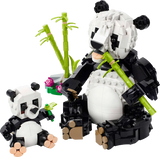 Wild Animals: Panda Family