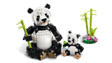 Wild Animals: Panda Family