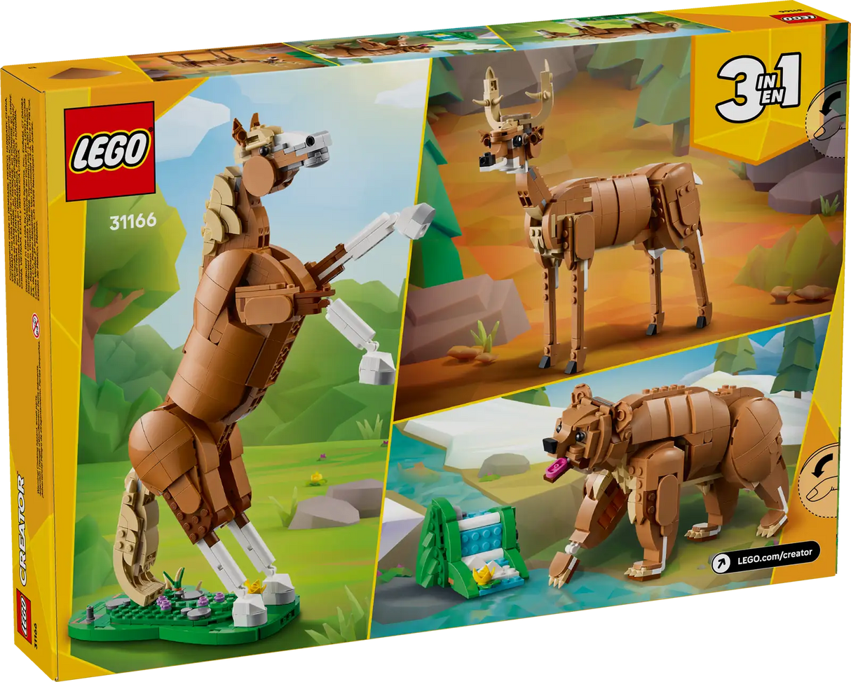 Beautiful Horse