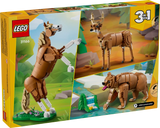 Beautiful Horse