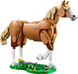 Beautiful Horse