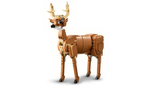 Beautiful Horse