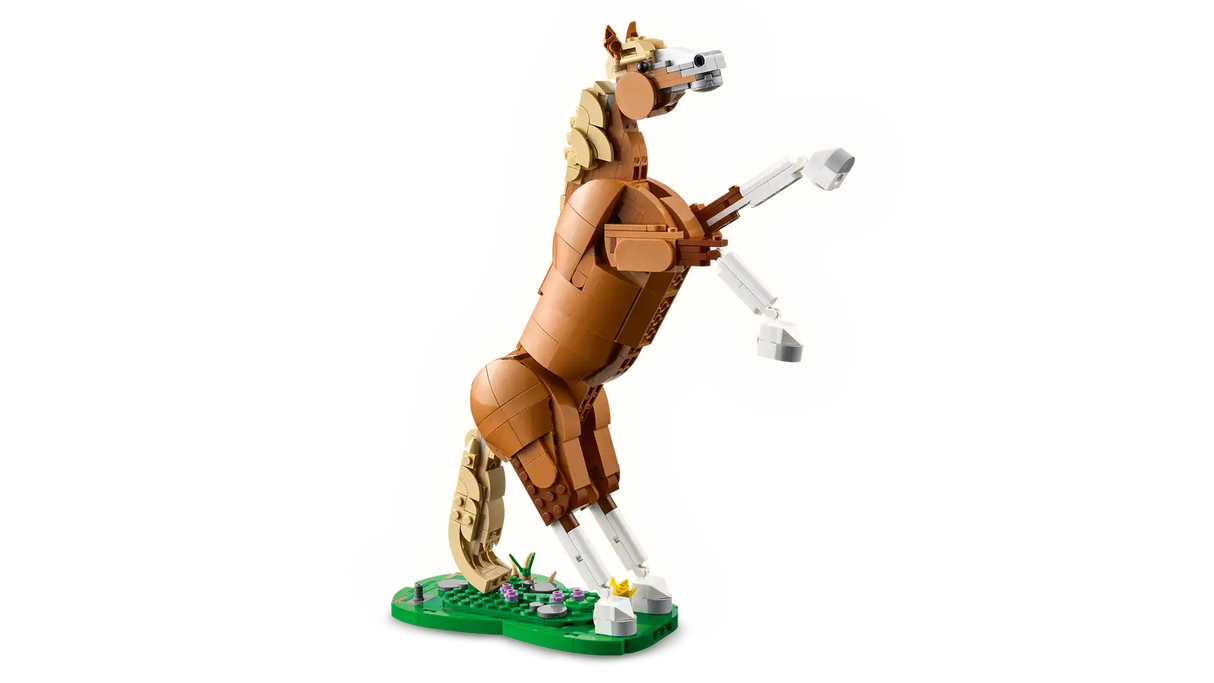 Beautiful Horse
