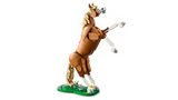 Beautiful Horse