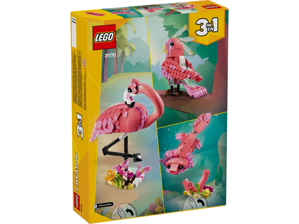 Wild Animals: Pink Flamingo