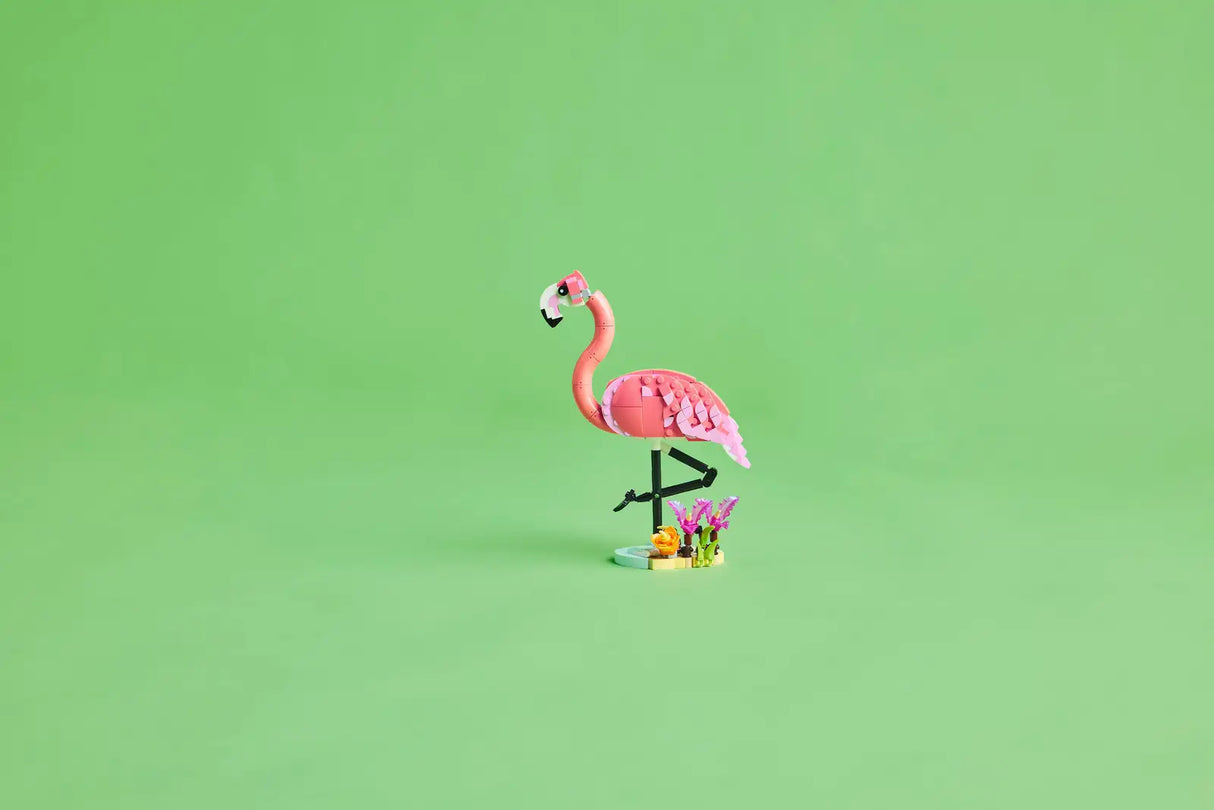 Wild Animals: Pink Flamingo