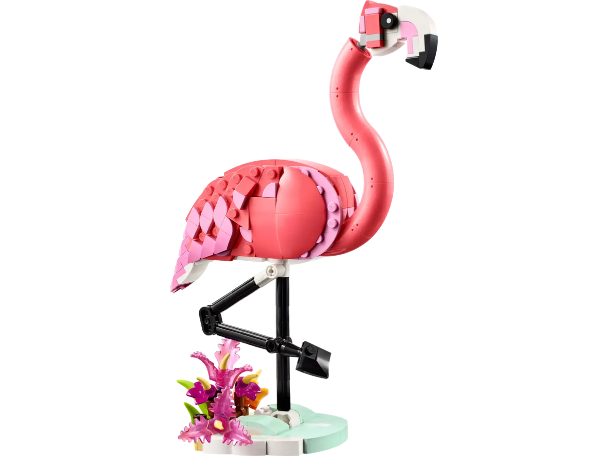 Wild Animals: Pink Flamingo
