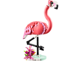Wild Animals: Pink Flamingo