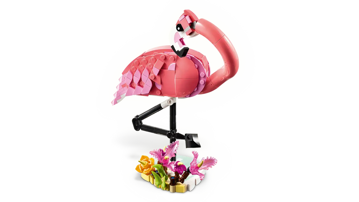 Wild Animals: Pink Flamingo