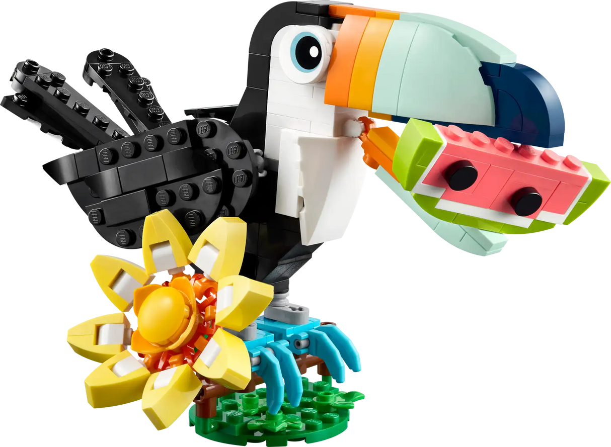 Wild Animals: Tropical Toucan