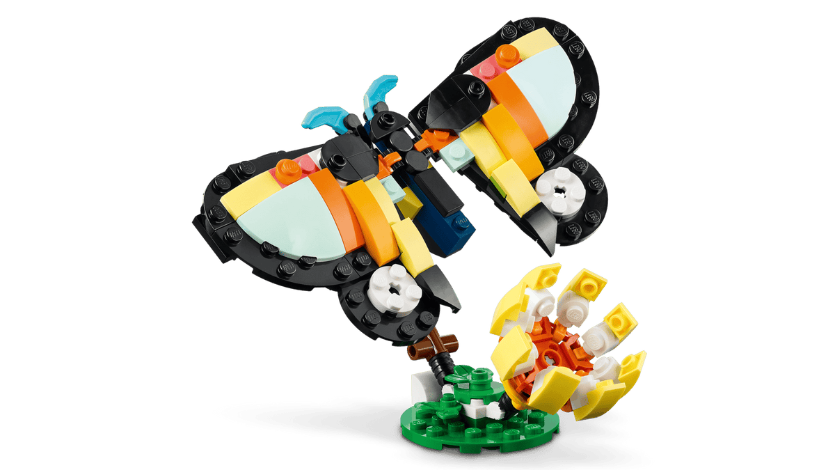 Wild Animals: Tropical Toucan