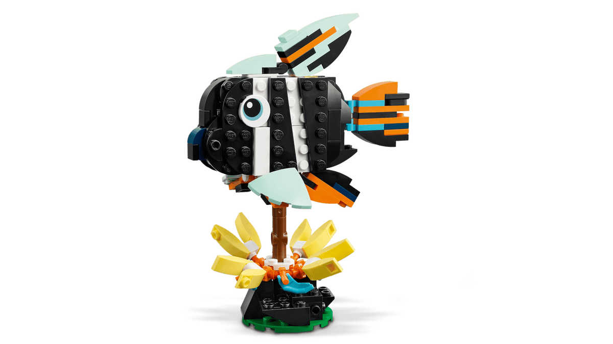 Wild Animals: Tropical Toucan