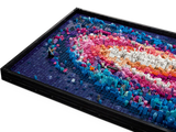 The Milky Way Galaxy