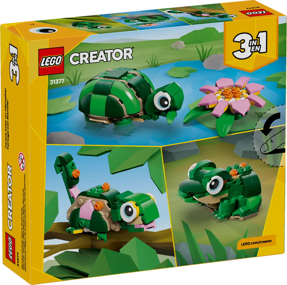 Turtle with a Waterlily Flower