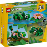 Turtle with a Waterlily Flower
