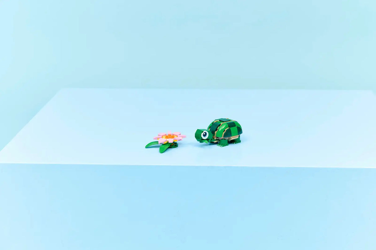 Turtle with a Waterlily Flower