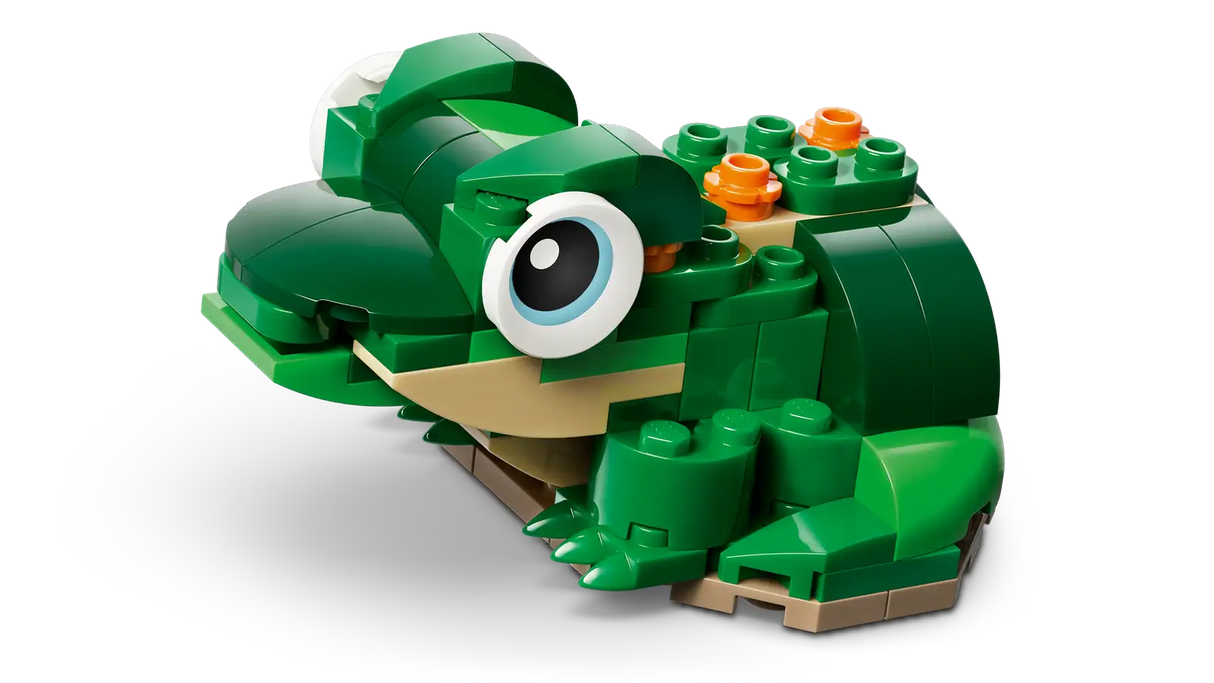 Turtle with a Waterlily Flower