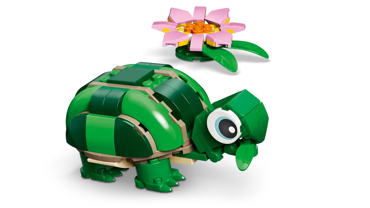 Turtle with a Waterlily Flower