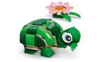 Turtle with a Waterlily Flower