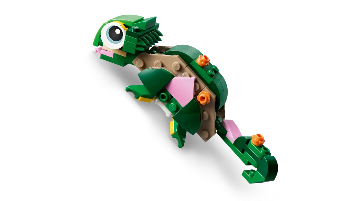 Turtle with a Waterlily Flower