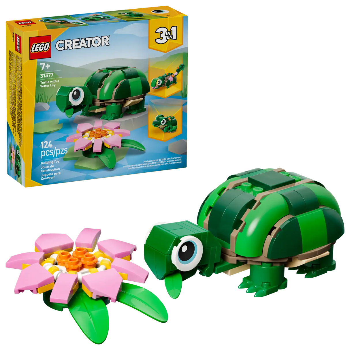 Turtle with a Waterlily Flower
