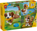 Cute Animals: Playful Puppy Dog