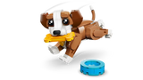 Cute Animals: Playful Puppy Dog