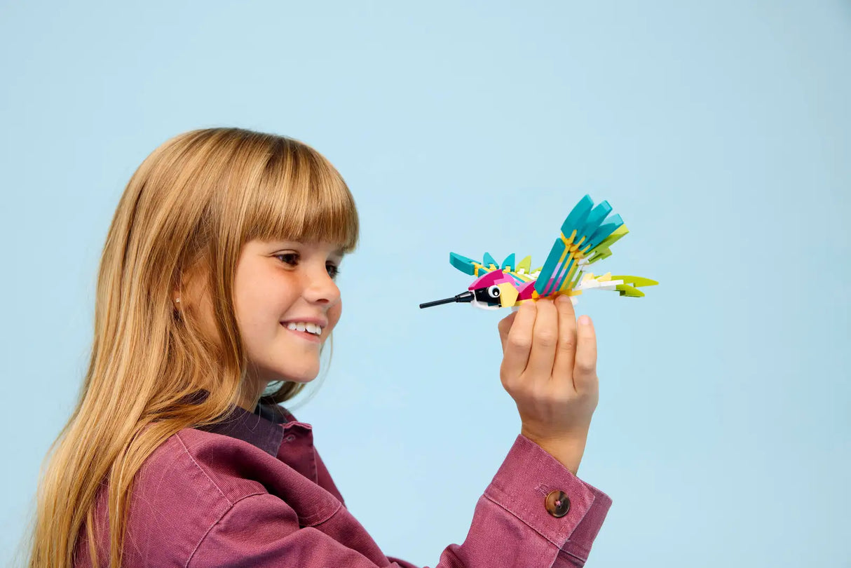 Wild Animals: Colorful Hummingbird